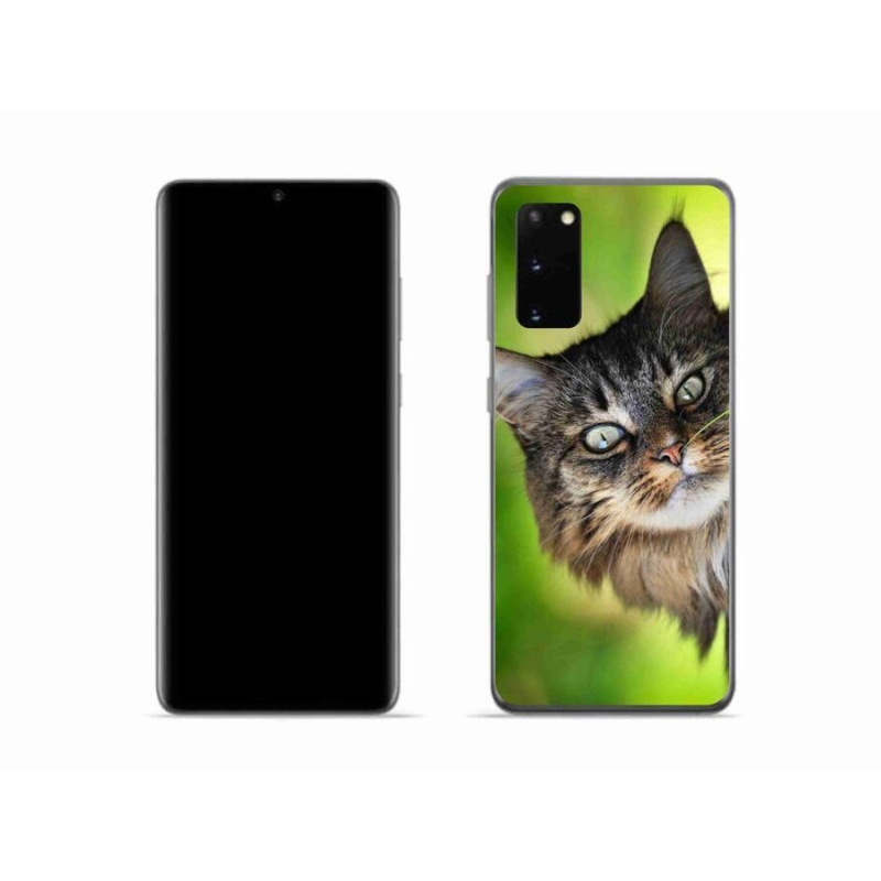 Gélový kryt mmCase na mobil Samsung Galaxy S20 - mačka 3