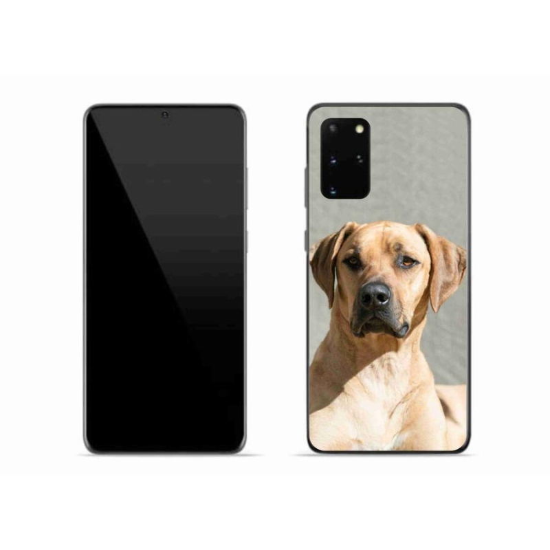 Gélový kryt mmCase na mobil Samsung Galaxy S20 Plus - ridgeback