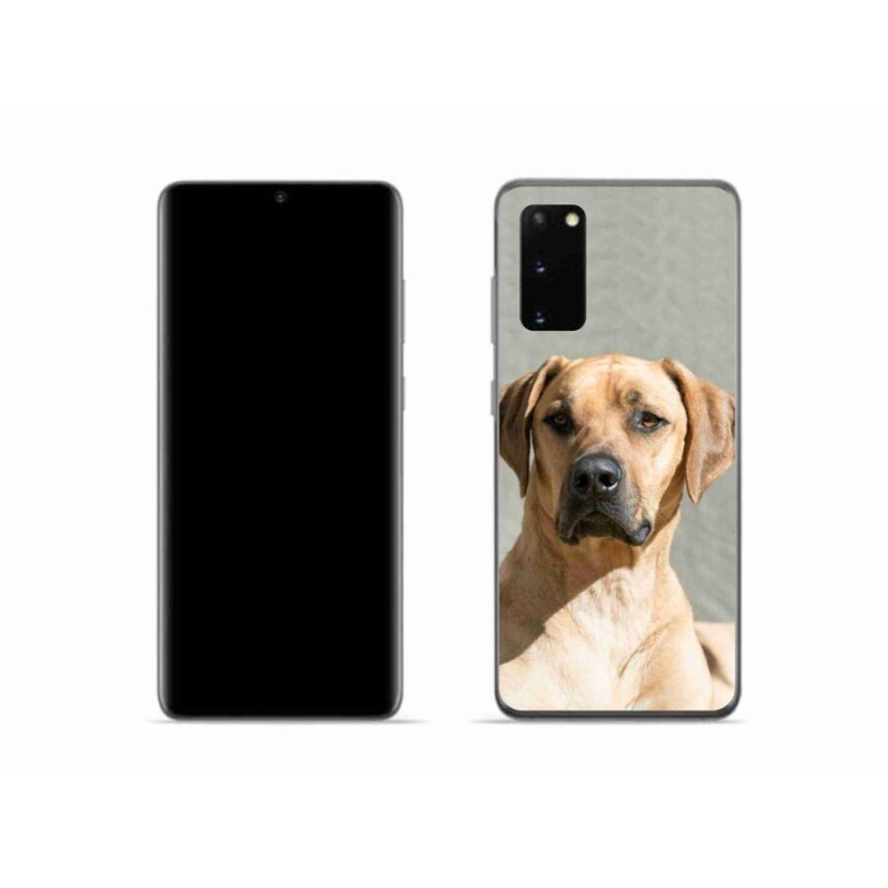 Gélový kryt mmCase na mobil Samsung Galaxy S20 - ridgeback