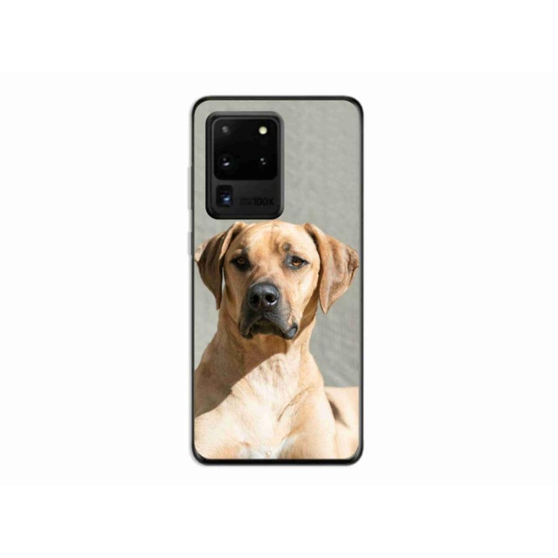 Gélový kryt mmCase na mobil Samsung Galaxy S20 Ultra - ridgeback