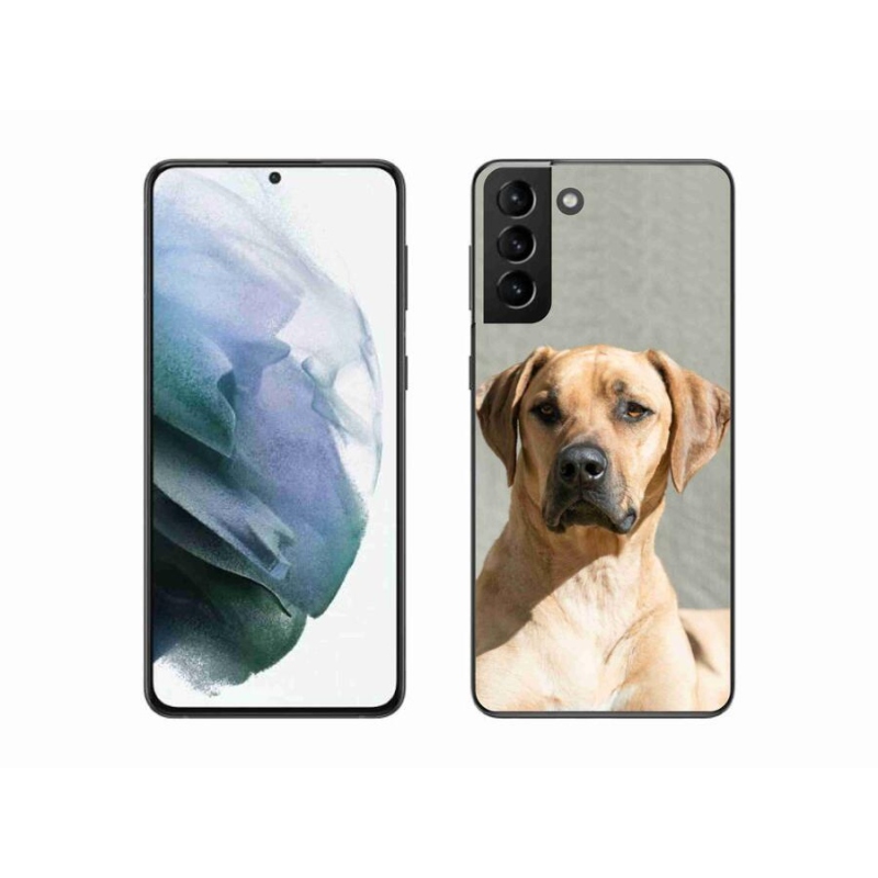 Gélový kryt mmCase na mobil Samsung Galaxy S21 Plus - ridgeback