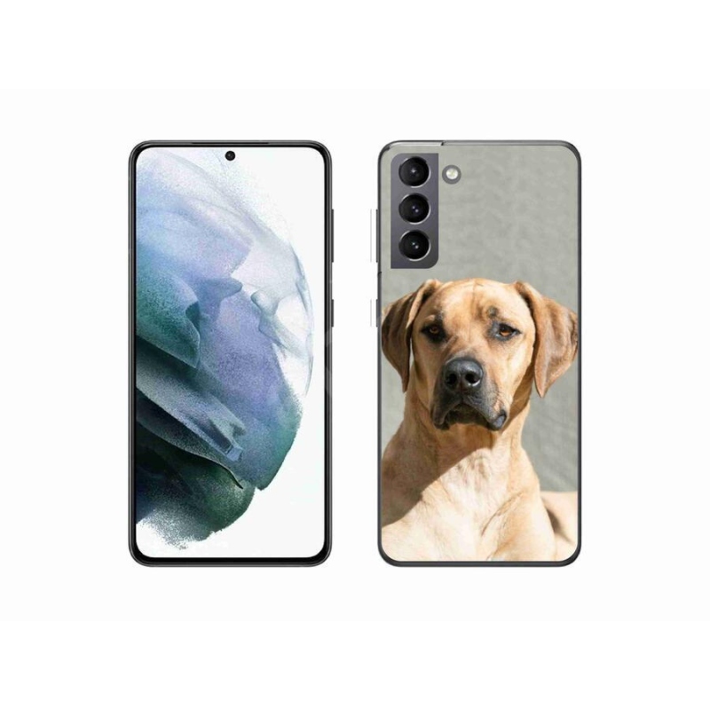 Gélový kryt mmCase na mobil Samsung Galaxy S21 - ridgeback