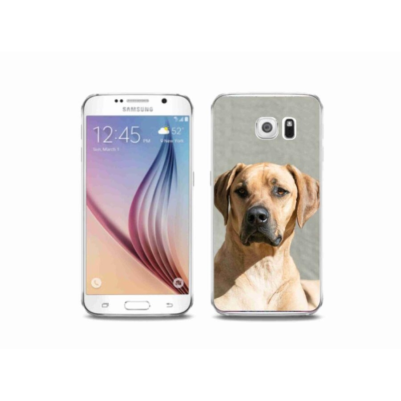 Gélový kryt mmCase na mobil Samsung Galaxy S6 - ridgeback