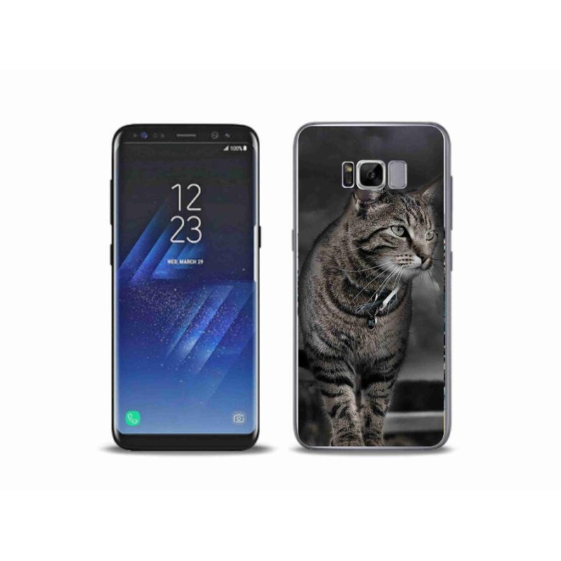 Gélový kryt mmCase na mobil Samsung Galaxy S8 Plus - mačka