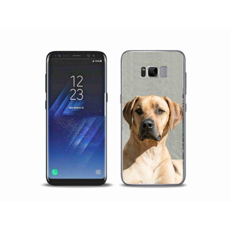 Gélový kryt mmCase na mobil Samsung Galaxy S8 Plus - ridgeback