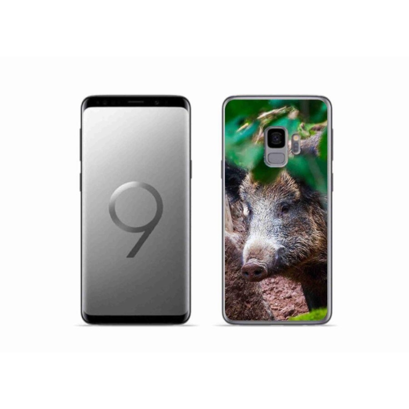 Gélový kryt mmCase na mobil Samsung Galaxy S9 - divoké prasa