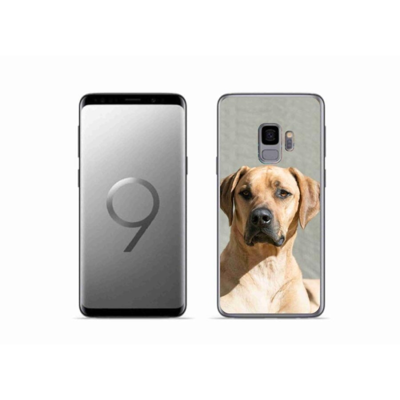 Gélový kryt mmCase na mobil Samsung Galaxy S9 - ridgeback