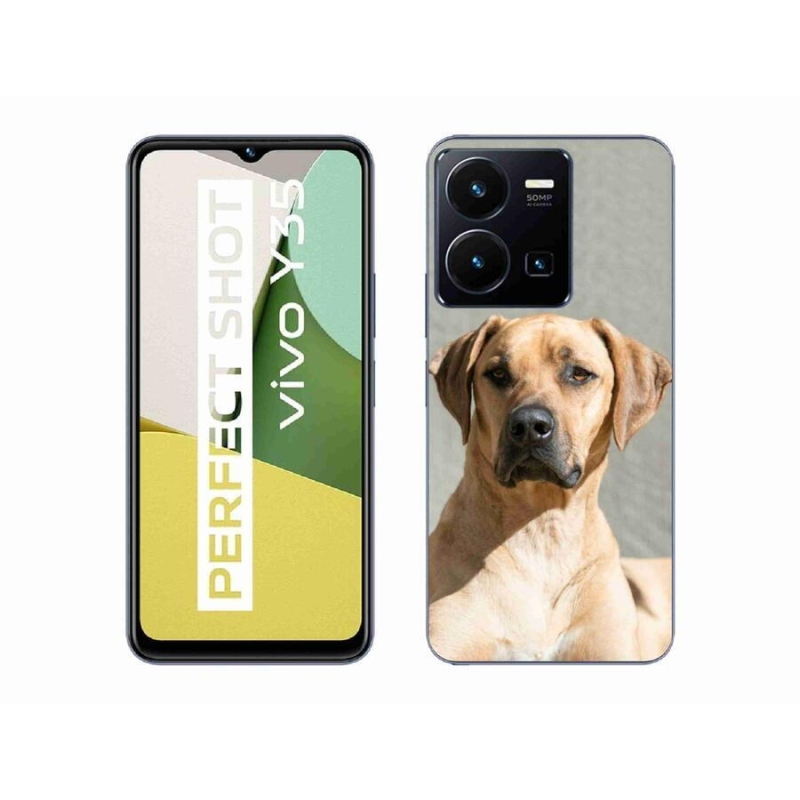 Gélový kryt mmCase na mobil Vivo Y35 - ridgeback