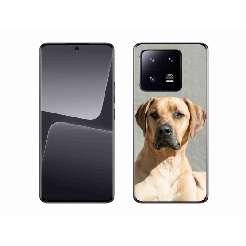 Gélový kryt mmCase na mobil Xiaomi 13 Pro - ridgeback