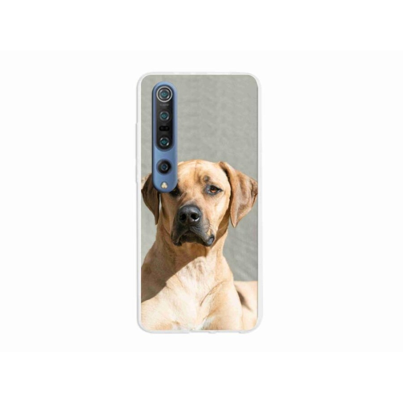 Gelový kryt mmCase na mobil Xiaomi Mi 10 Pro - ridgeback