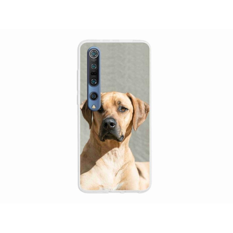 Gélový kryt mmCase na mobil Xiaomi Mi 10 - ridgeback