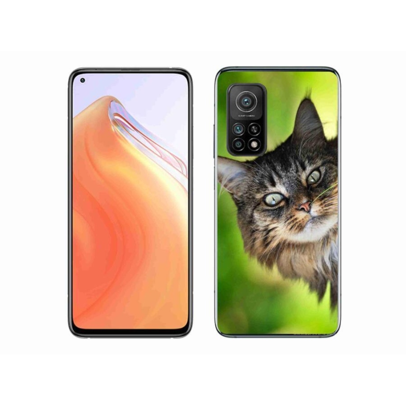 Gélový kryt mmCase na mobil Xiaomi Mi 10T 5G - mačka 3