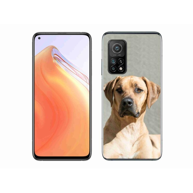 Gélový kryt mmCase na mobil Xiaomi Mi 10T 5G - ridgeback