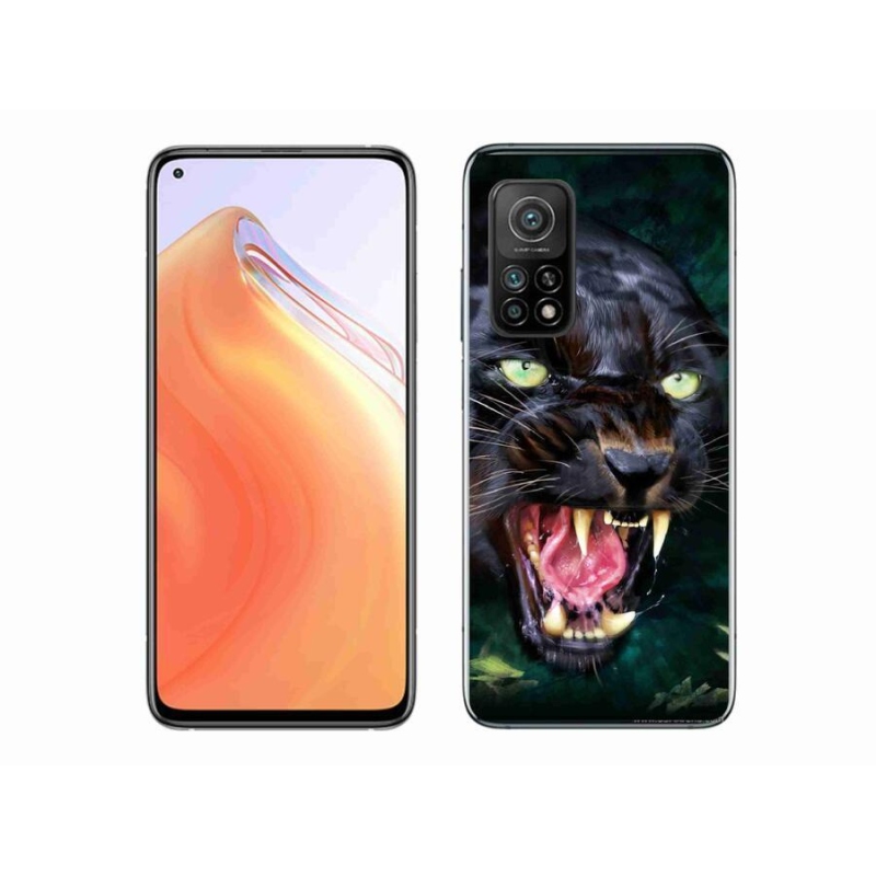 Gélový kryt mmCase na mobil Xiaomi Mi 10T Pro 5G - rozzúrený čierny panter