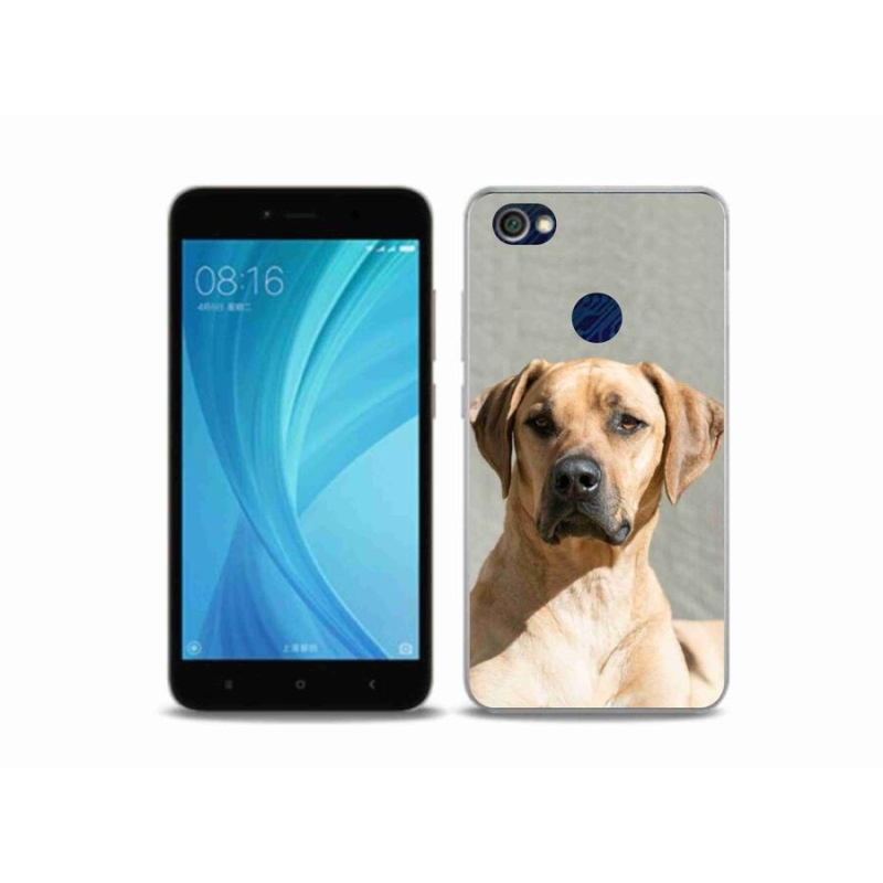 Gélový kryt mmCase na mobil Xiaomi Redmi Note 5A Prime - ridgeback