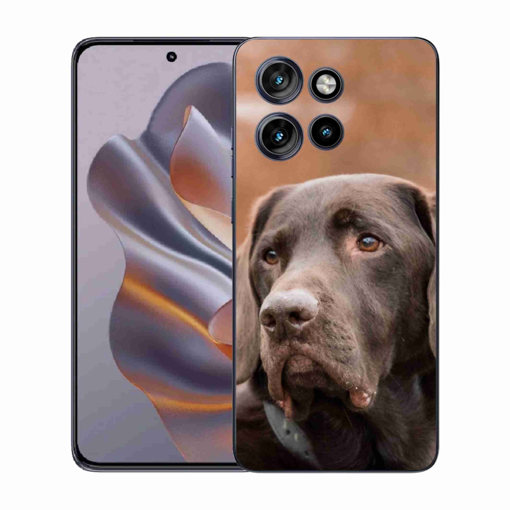 Gélový kryt mmCase na Motorola Edge 50 Neo - hnedý labrador