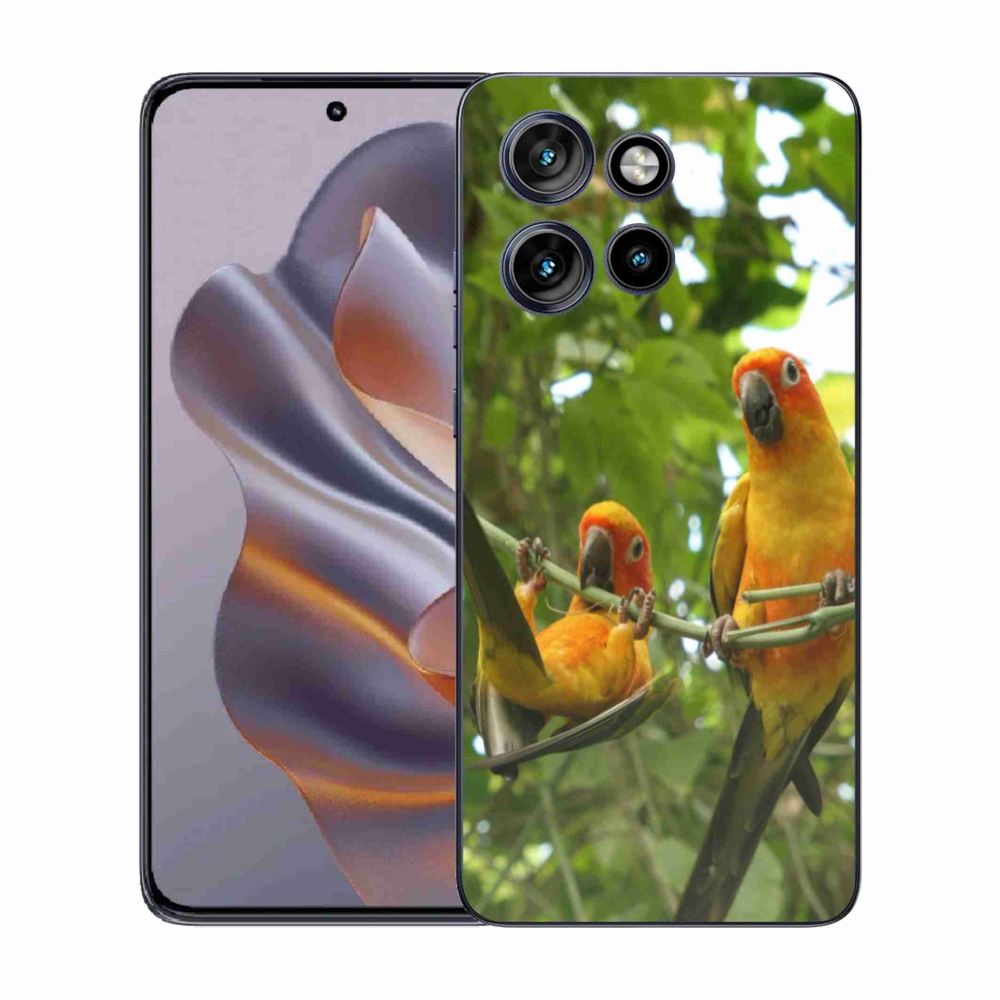 Gélový kryt mmCase na Motorola Edge 50 Neo - papagáje aratingy