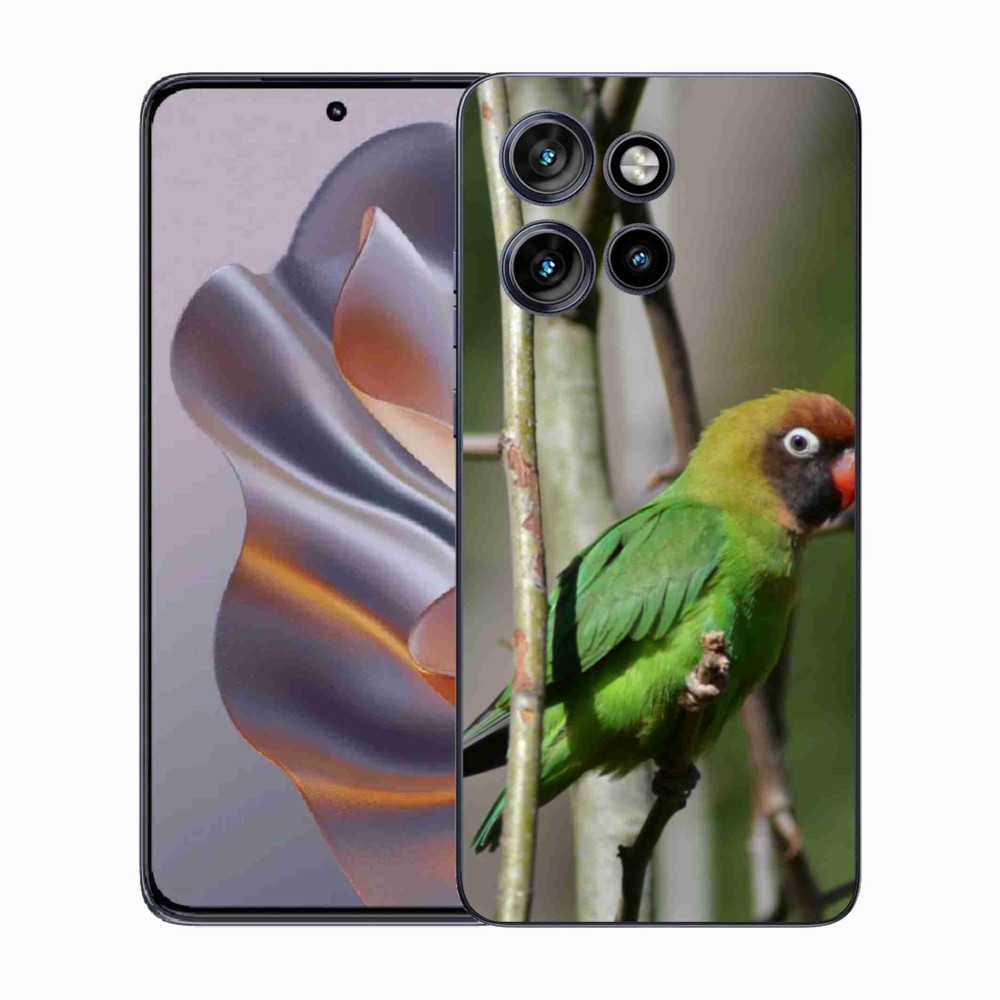 Gélový kryt mmCase na Motorola Edge 50 Neo - papagáj agapornis