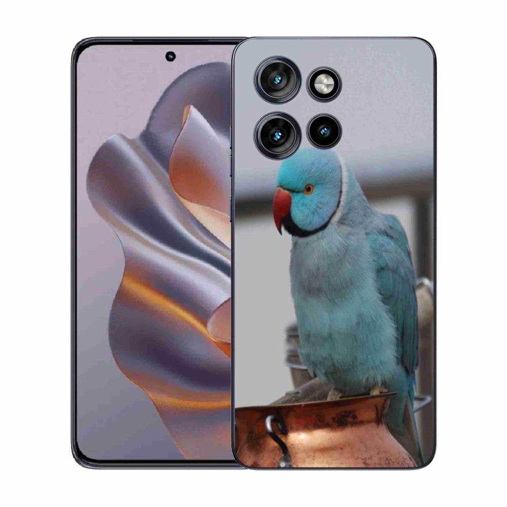 Gélový kryt mmCase na Motorola Edge 50 Neo - papagáj alexander modrý