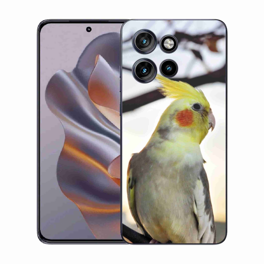 Gélový kryt mmCase na Motorola Edge 50 Neo - papagáj korela