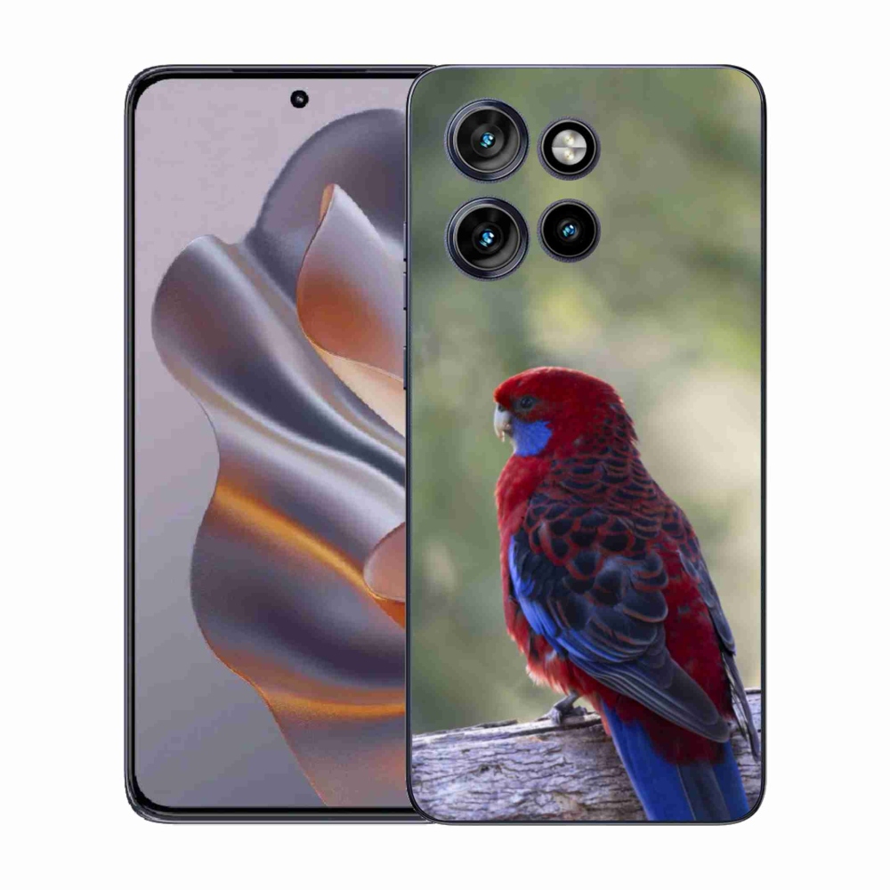 Gélový kryt mmCase na Motorola Edge 50 Neo - papagáj rosela