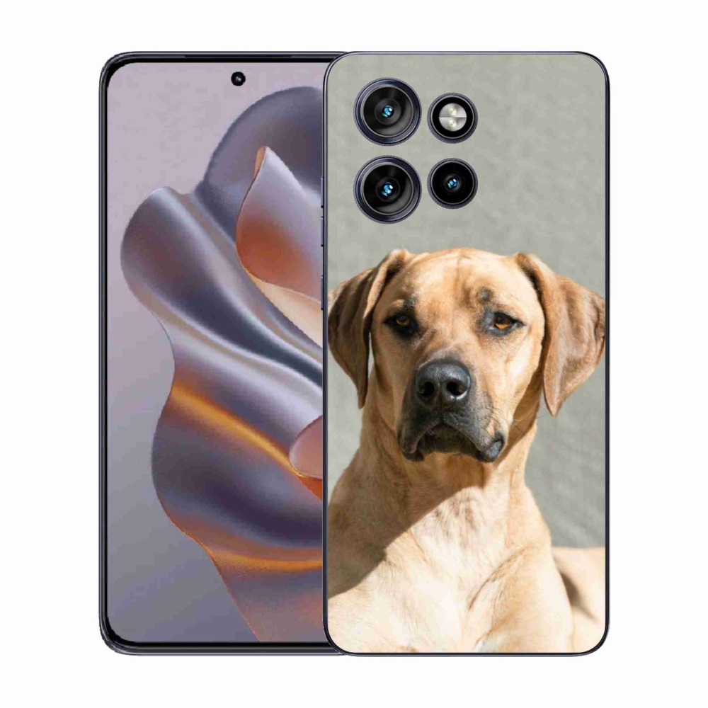 Gélový kryt mmCase na Motorola Edge 50 Neo - ridgeback