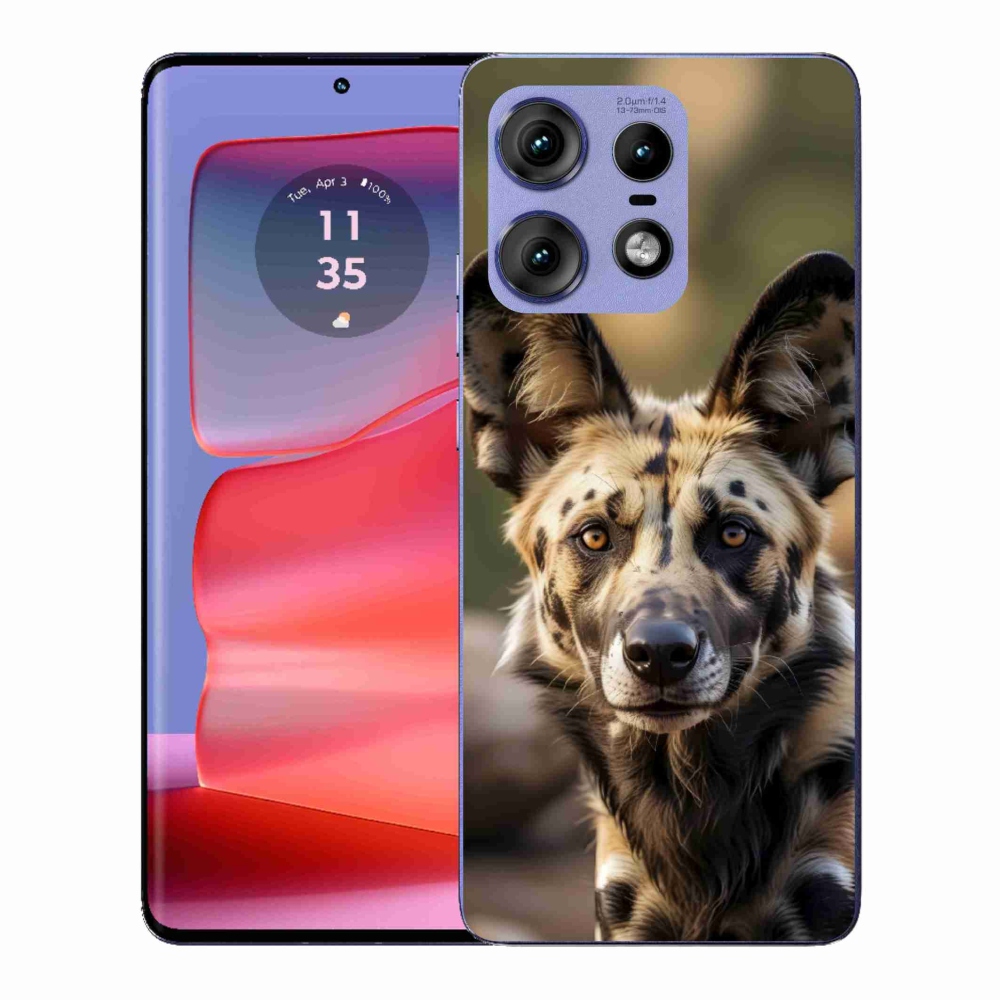 Gélový kryt mmCase na Motorola Edge 50 Pro - africký divoký pes