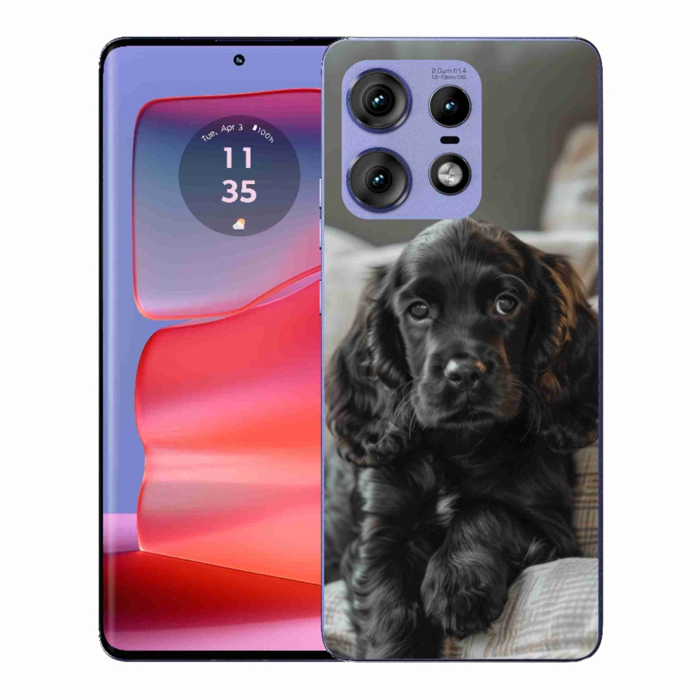 Gélový kryt mmCase na Motorola Edge 50 Pro - anglický kokeršpaniel