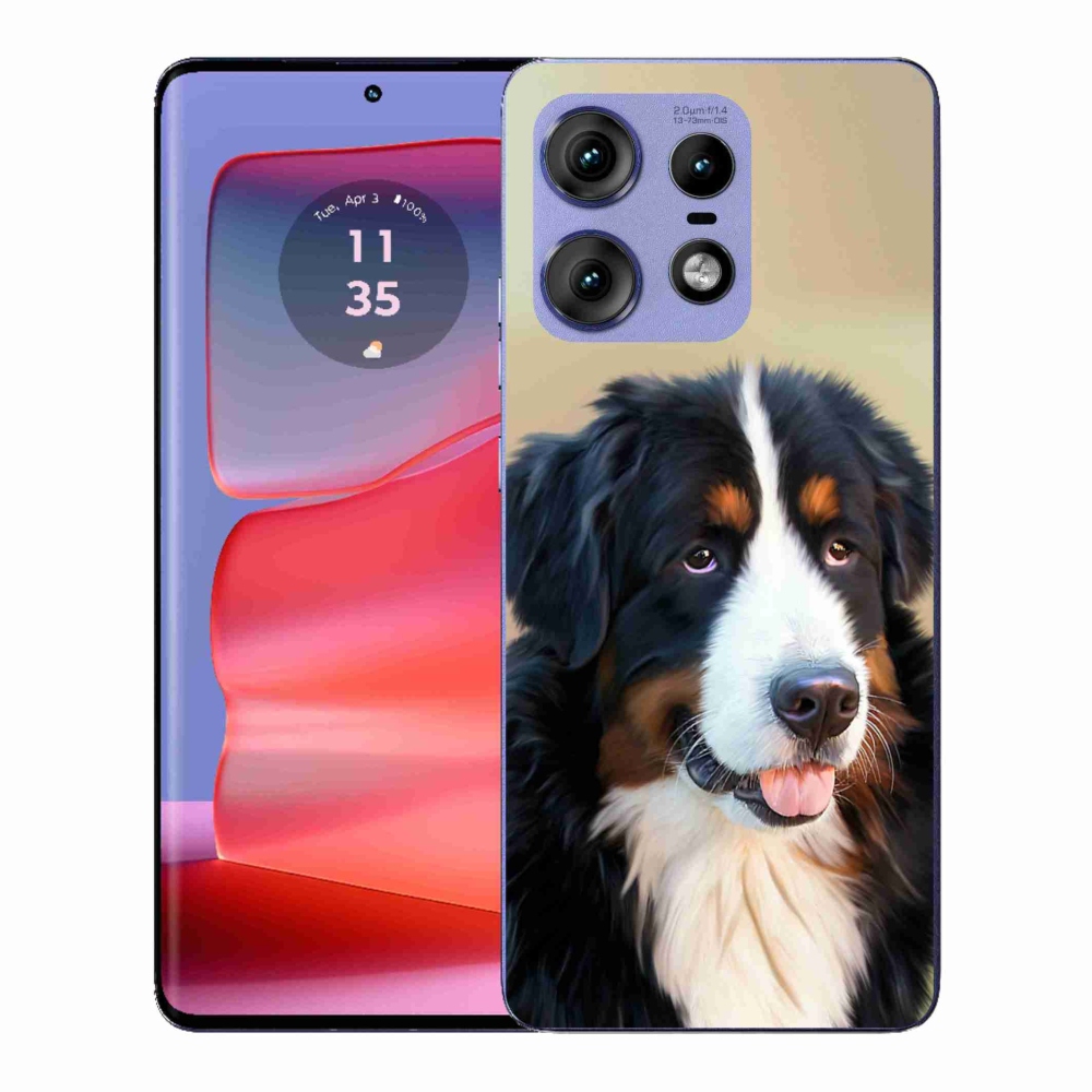 Gélový kryt mmCase na Motorola Edge 50 Pro - bernský salašnícky pes