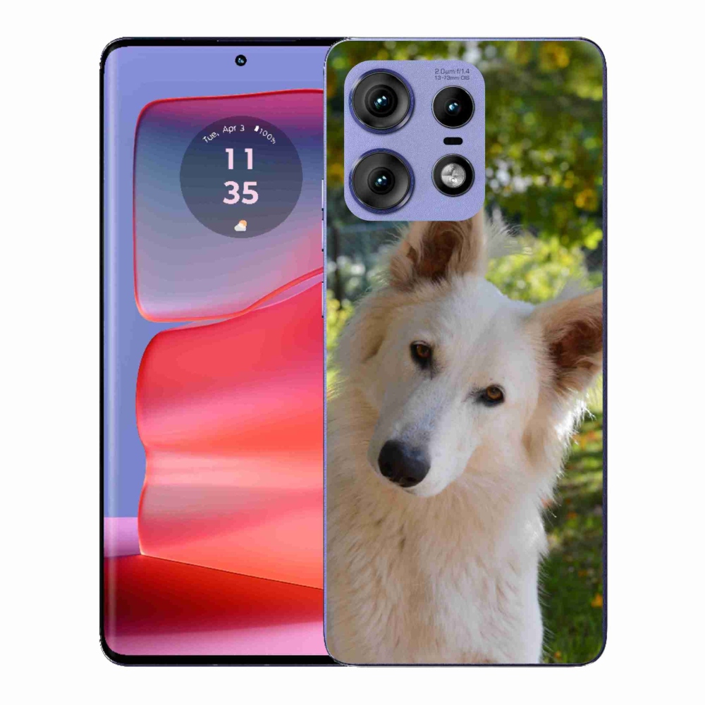 Gélový kryt mmCase na Motorola Edge 50 Pro - biely švajčiarsky ovčiak 1