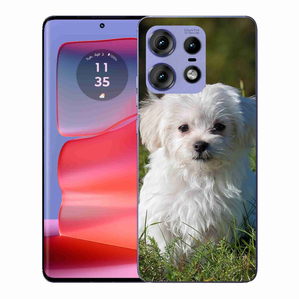 Gélový kryt mmCase na Motorola Edge 50 Pro - bišónik