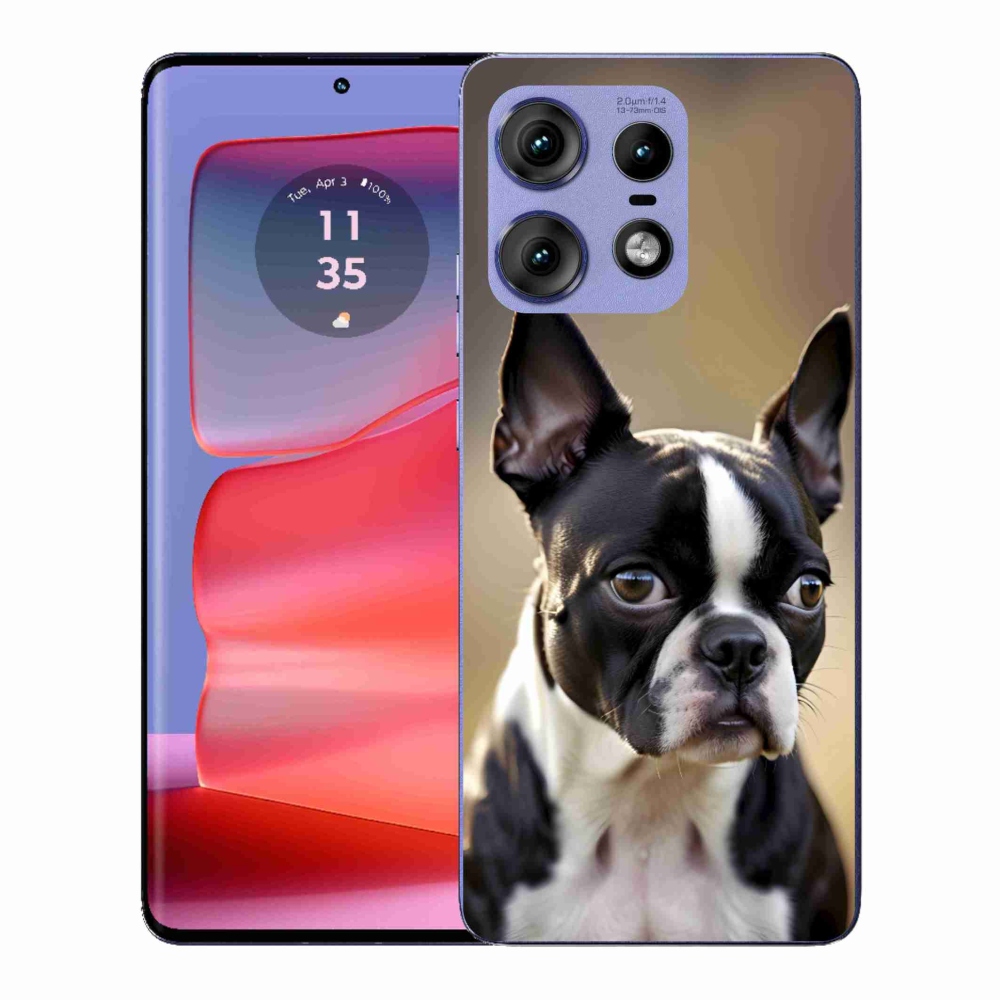 Gélový kryt mmCase na Motorola Edge 50 Pro - bostonský teriér