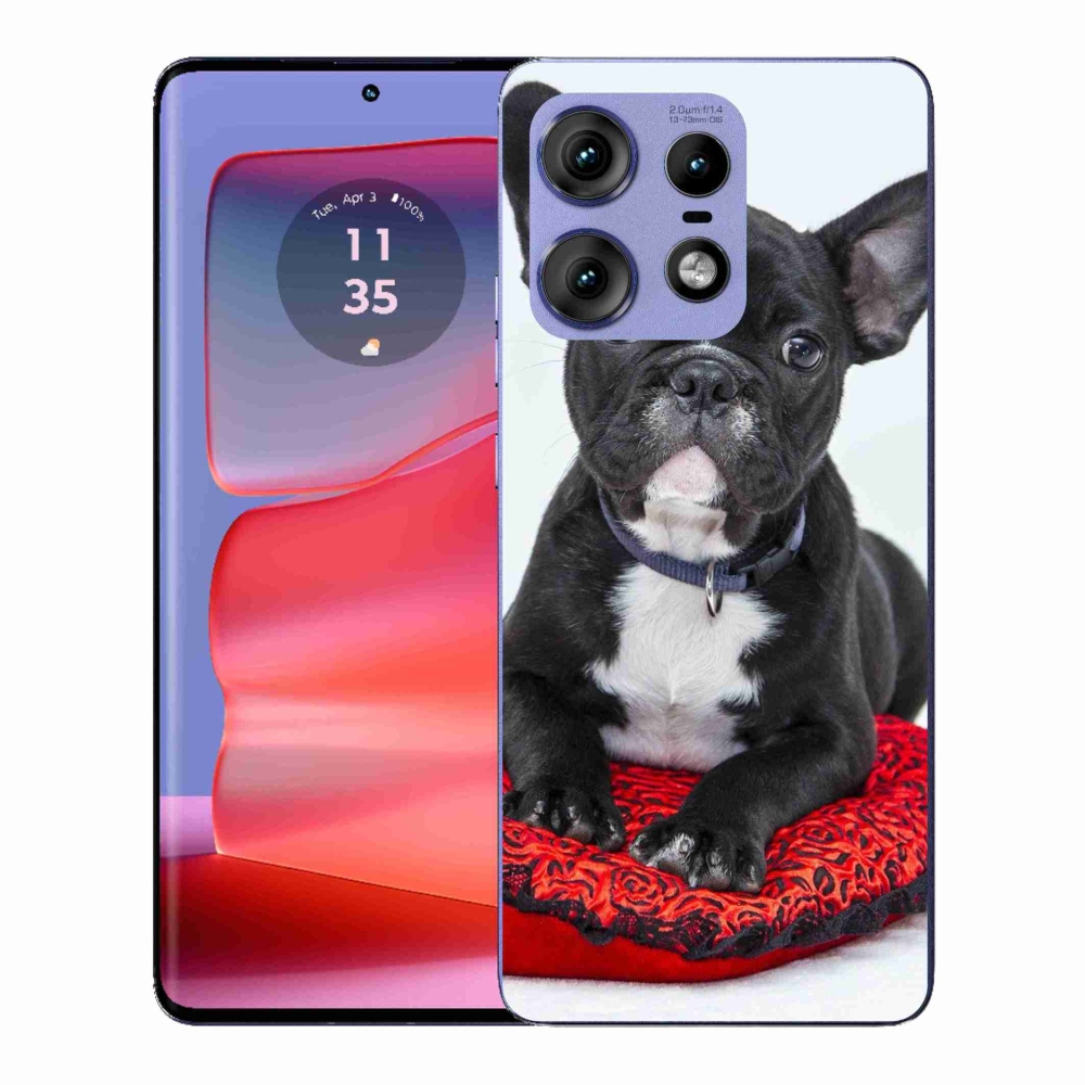 Gélový kryt mmCase na Motorola Edge 50 Pro - buldog