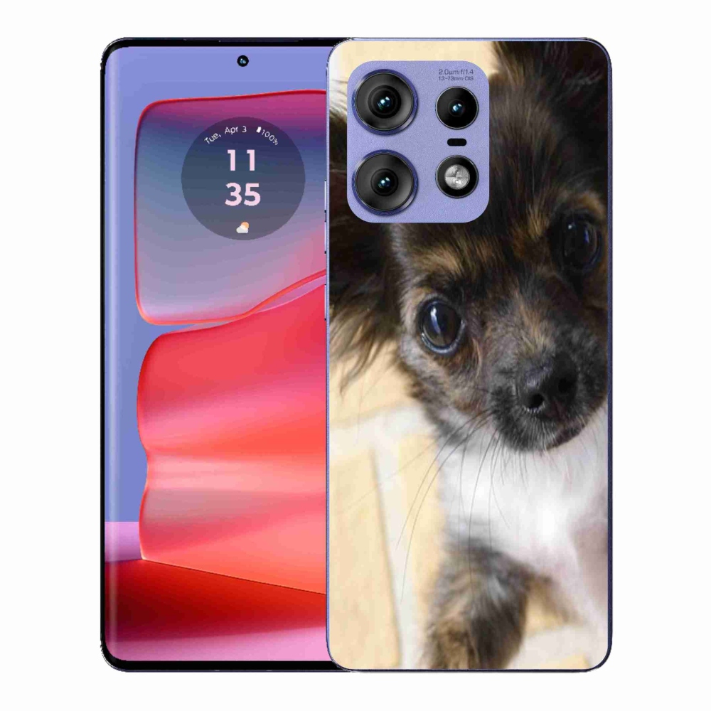 Gélový kryt mmCase na Motorola Edge 50 Pro - čivava 2