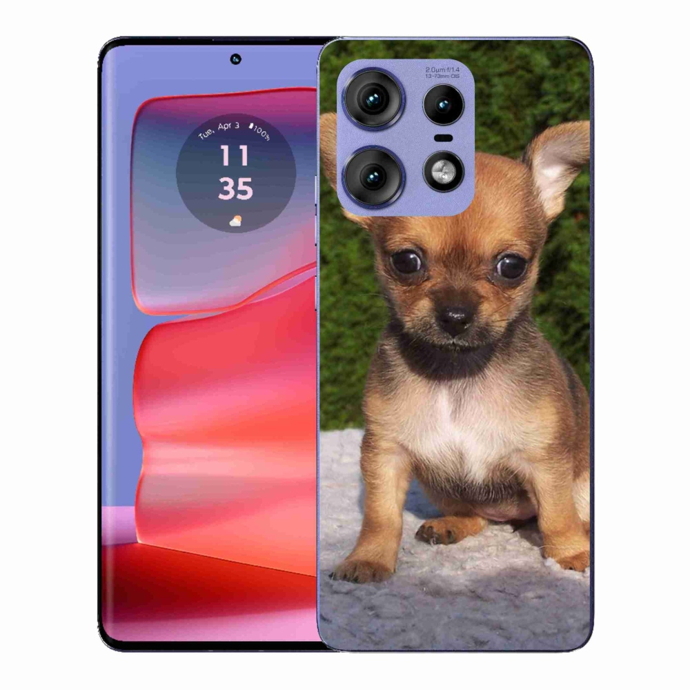 Gélový kryt mmCase na Motorola Edge 50 Pro - čivava 3