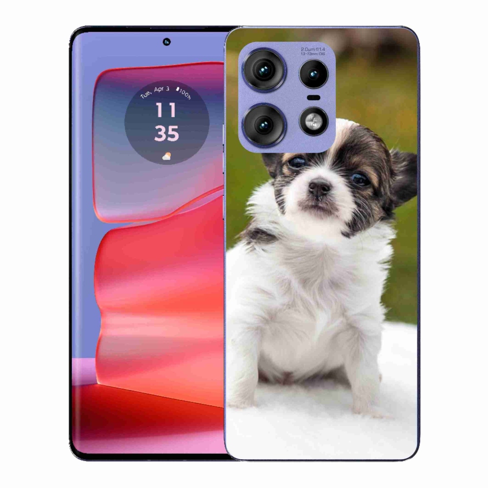 Gélový kryt mmCase na Motorola Edge 50 Pro - čivava 4
