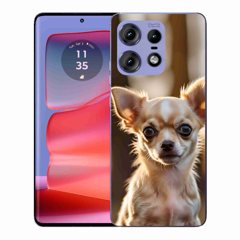 Gélový kryt mmCase na Motorola Edge 50 Pro - čivava 6