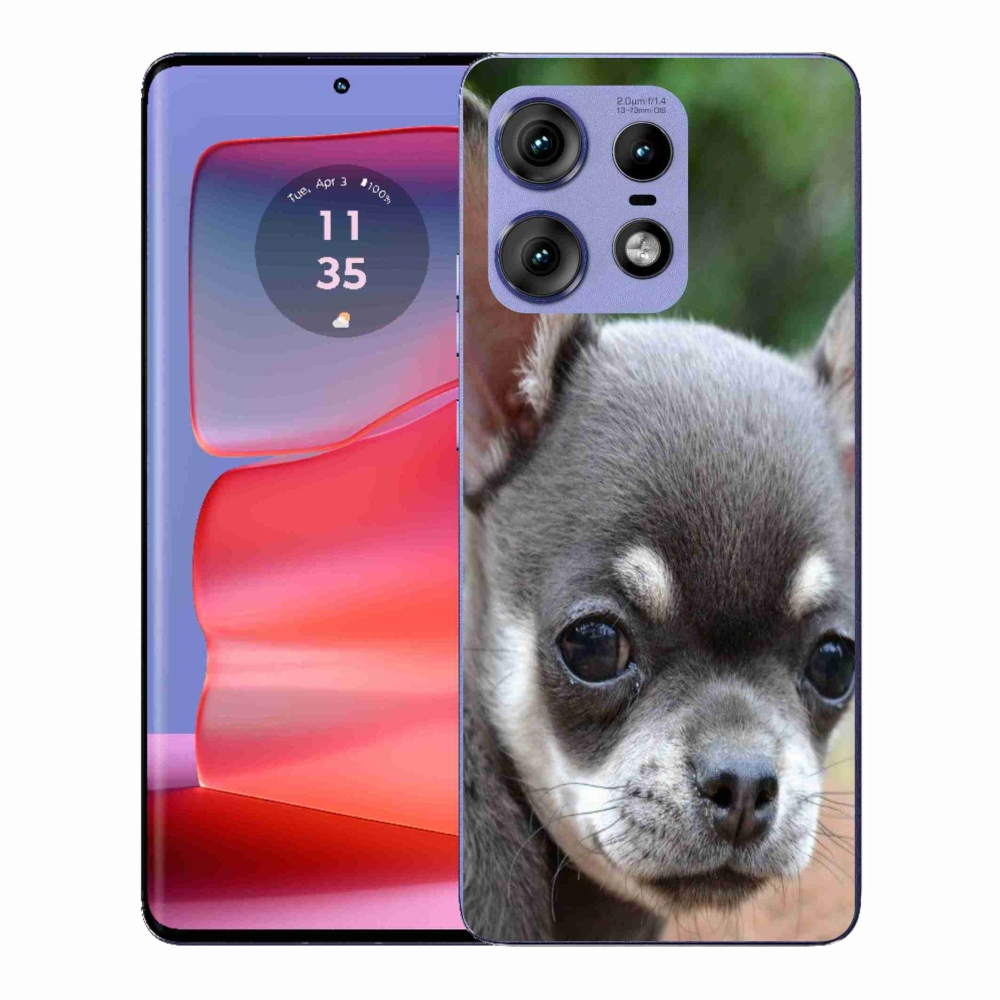 Gélový kryt mmCase na Motorola Edge 50 Pro - čivava