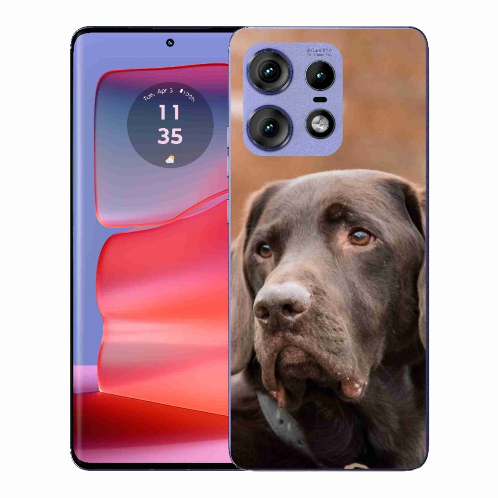 Gélový kryt mmCase na Motorola Edge 50 Pro - hnedý labrador