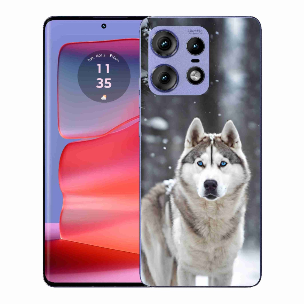 Gélový kryt mmCase na Motorola Edge 50 Pro - husky 2