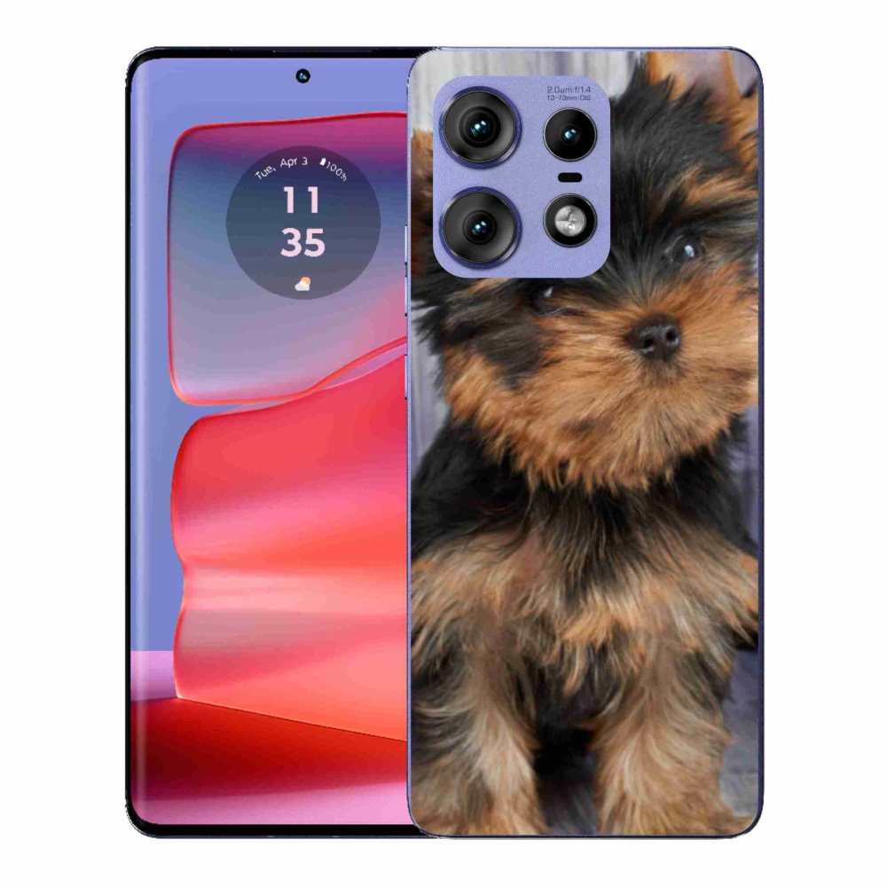 Gélový kryt mmCase na Motorola Edge 50 Pro - yorkšír 9