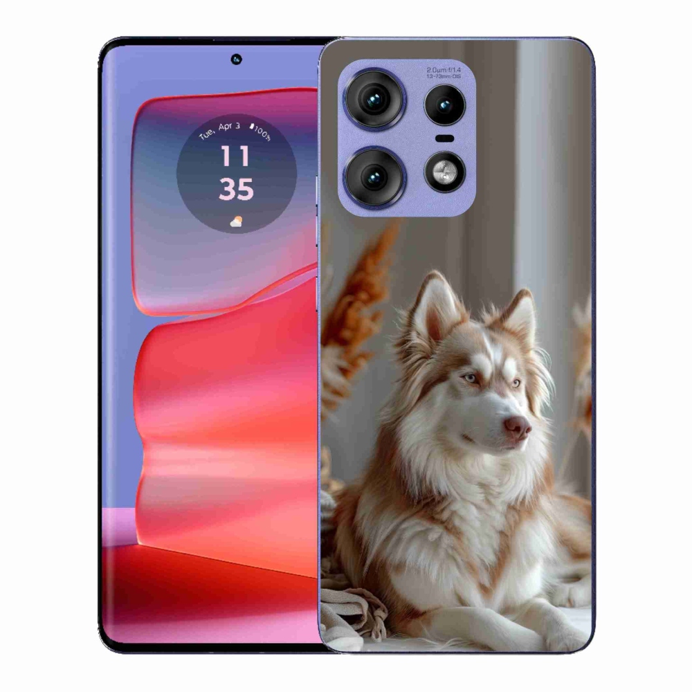 Gélový kryt mmCase na Motorola Edge 50 Pro - pokojný sibírsky husky