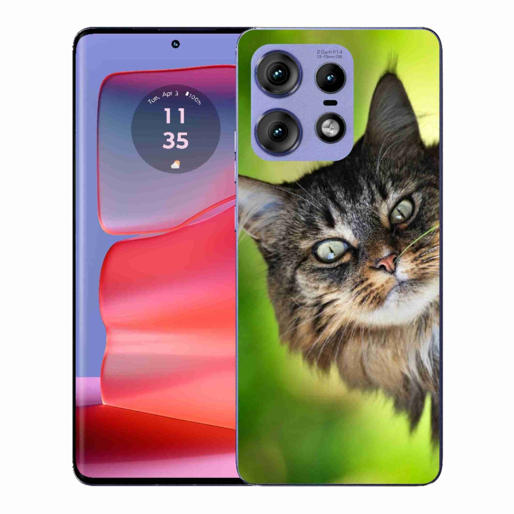 Gélový kryt mmCase na Motorola Edge 50 Pro - mačka 3
