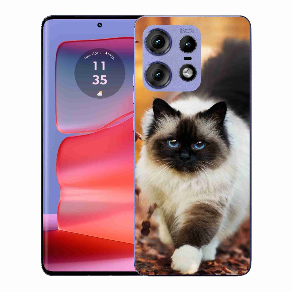 Gélový kryt mmCase na Motorola Edge 50 Pro - mačka