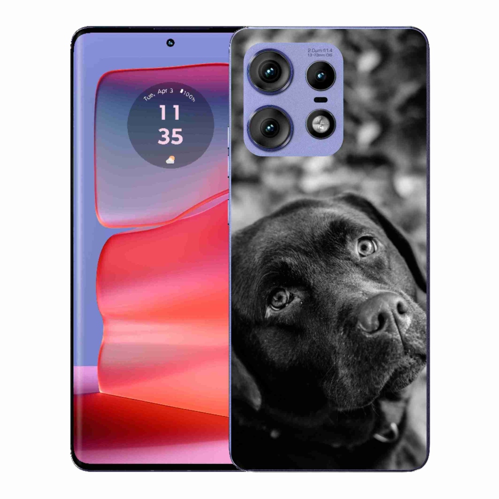 Gélový kryt mmCase na Motorola Edge 50 Pro - labrador