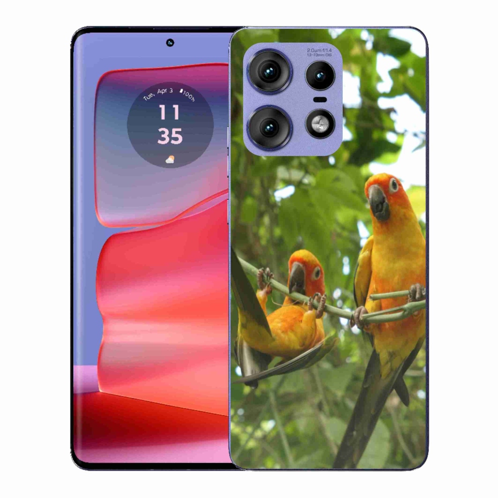 Gélový kryt mmCase na Motorola Edge 50 Pro - papagáje aratingy
