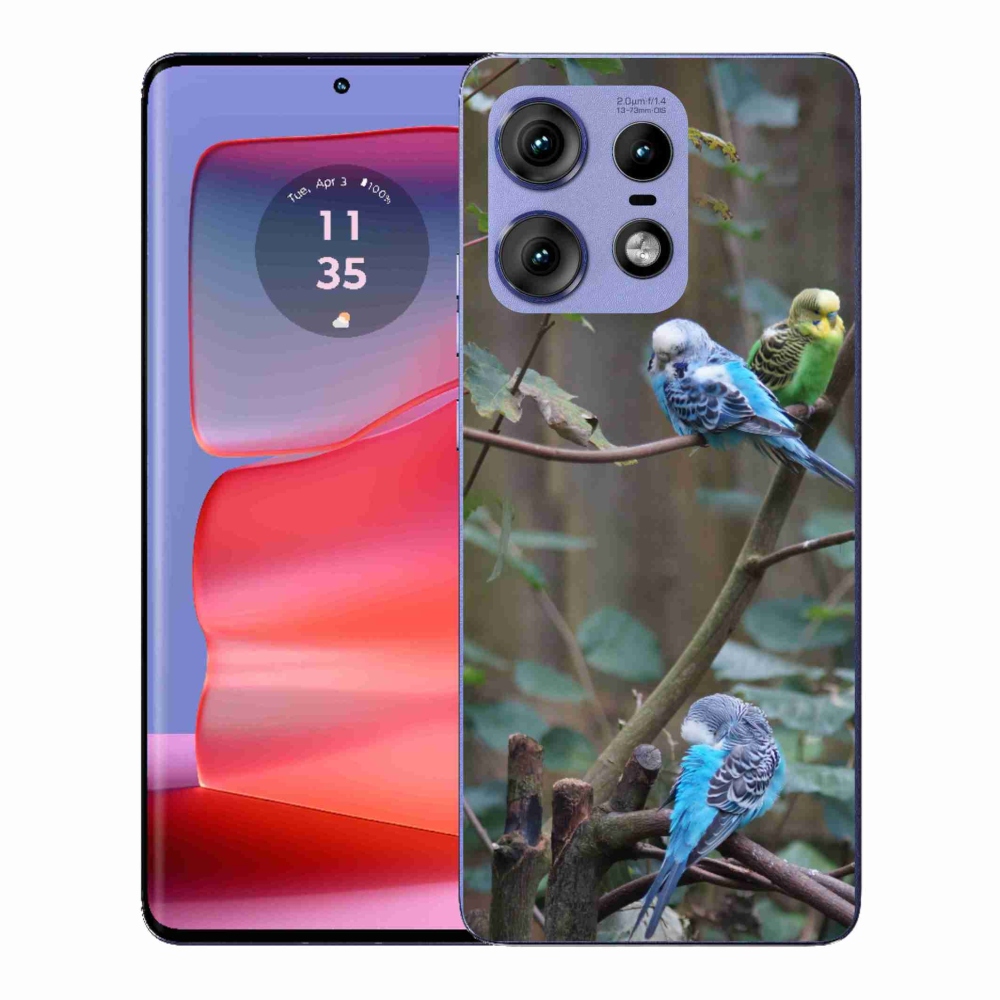 Gélový kryt mmCase na Motorola Edge 50 Pro - papagáje na vetve