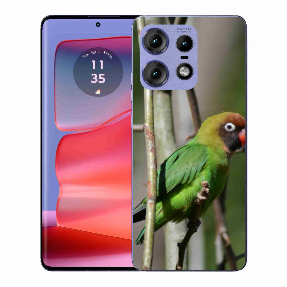 Gélový kryt mmCase na Motorola Edge 50 Pro - papagáj agapornis