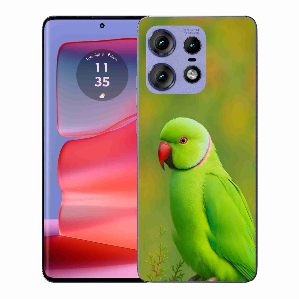 Gélový kryt mmCase na Motorola Edge 50 Pro - papagáj Alexandr 2