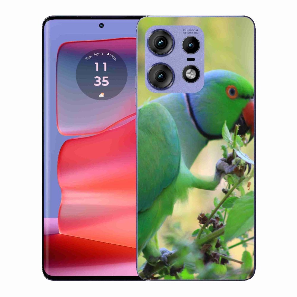 Gélový kryt mmCase na Motorola Edge 50 Pro - papagáj Alexandr